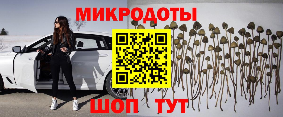 Чебаркуль  Псилоцибиновые грибы Psilocybine cubensis  Вход с VPN 